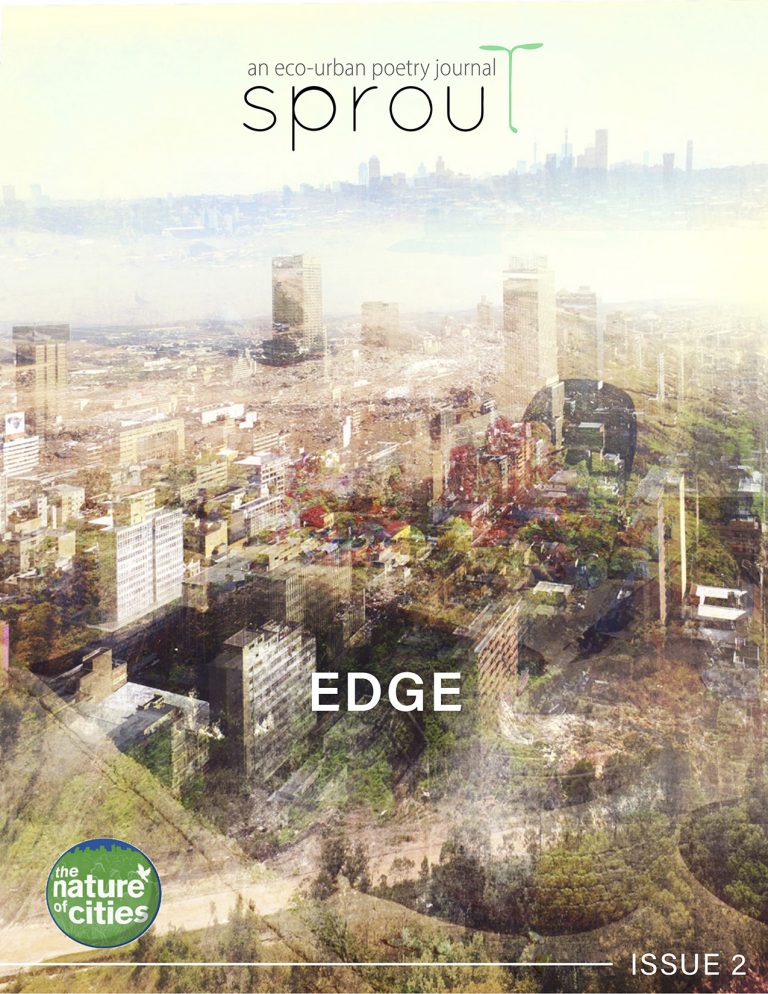 Sprout Issue 2: Edge
